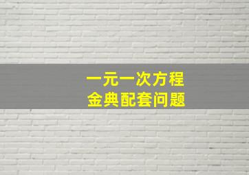 一元一次方程 金典配套问题